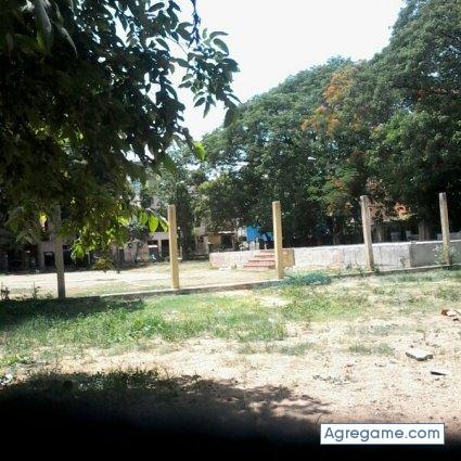 smoothbrush chico soltero en 