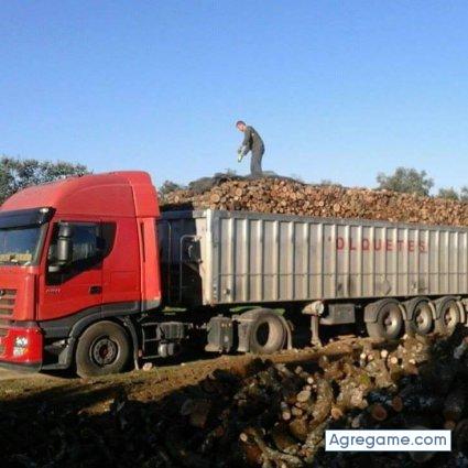 antoniosanchez5520 chico soltero en Villanueva De Cordoba