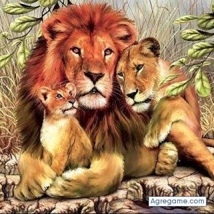 joyasjoyas chico soltero en Santa Cruz De Yojoa