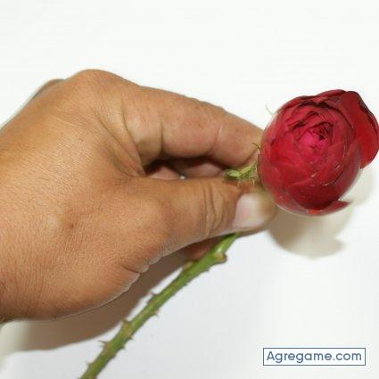 ToyHistory chico soltero en Arroyo Naranjo