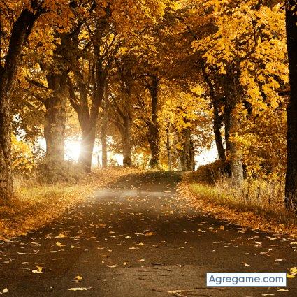 JPN1972 chico soltero en Las Condes