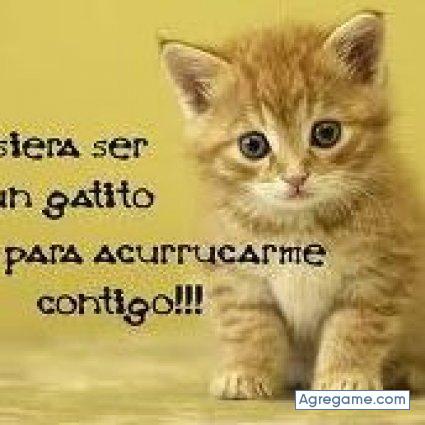 brayanblack chico soltero en Cúcuta