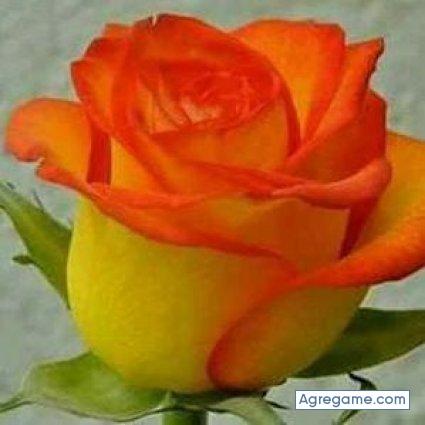 topoverde chico soltero en Apaxco