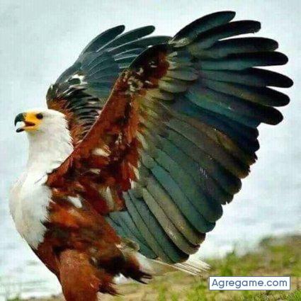 carlosvillarreal7827 chico soltero en Tapachula