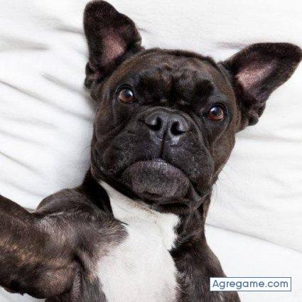 alejandroperales chico soltero en Manga