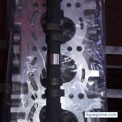 Rectifcano chico soltero en Trujillo