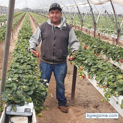 Pitherlopez chico soltero en Churintzio