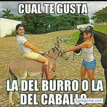 Eldurogonzalez chico soltero en Ecatepec De Morelos