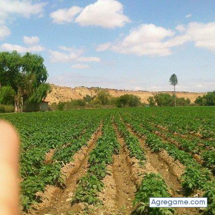 sandragarcia5140 chico soltero en Aguas Calientes