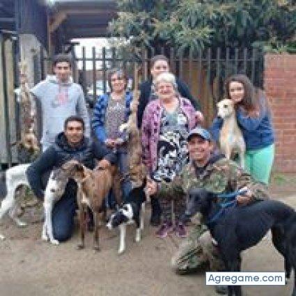 galgosla chico soltero en Talca
