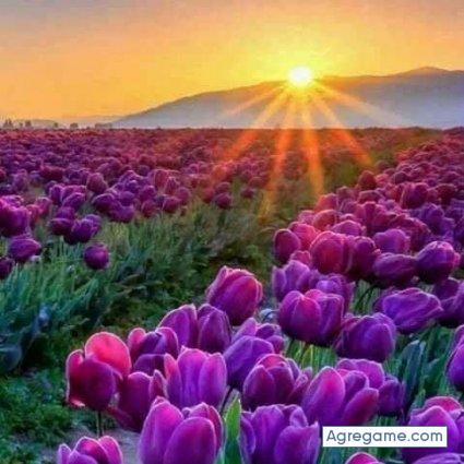 josejoaguin8708 chico soltero en Tamarindo