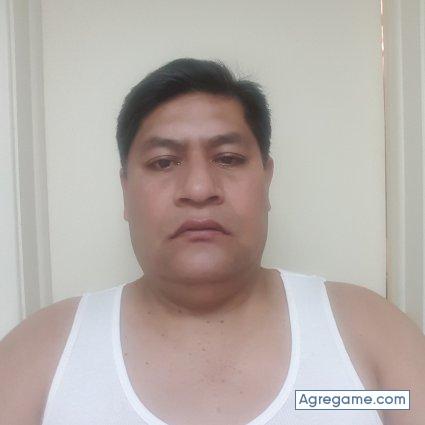 Gatos10 chico soltero en Lexington