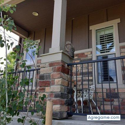 Gabacho90 chico soltero en Belén