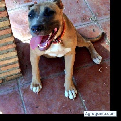 javii189 chico soltero en La Puebla De Montalban