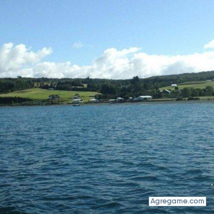 miguelcastillo3496 chico soltero en Río Bueno