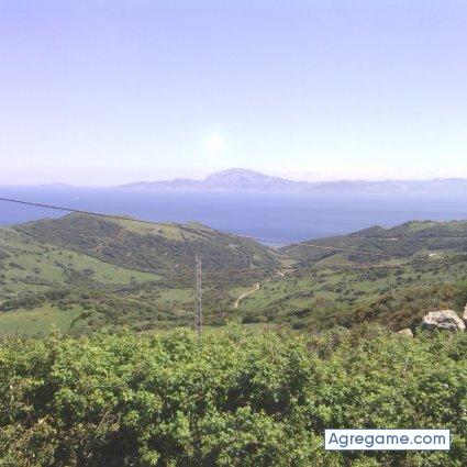 aghyoo chico soltero en 