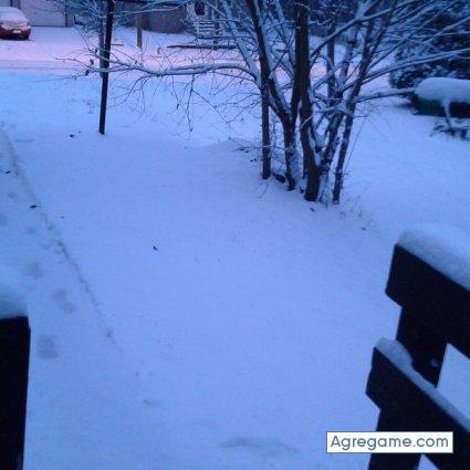 josereyes1033 chico soltero en Gulfport