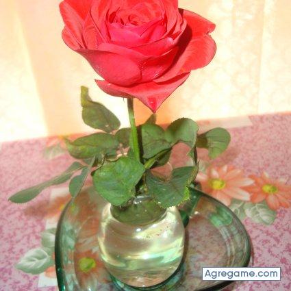 raultaborda chico divorciado en Urdinarrain