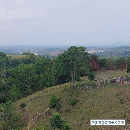 EepazH chico soltero en Santana