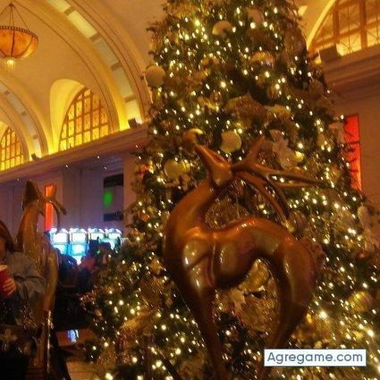 abrahamlara chico soltero en Kaufman