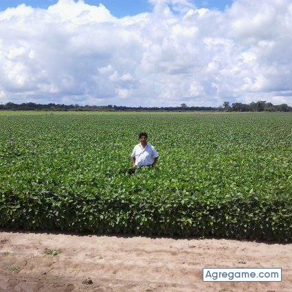 Wilder123 chico soltero en Colcapirhua