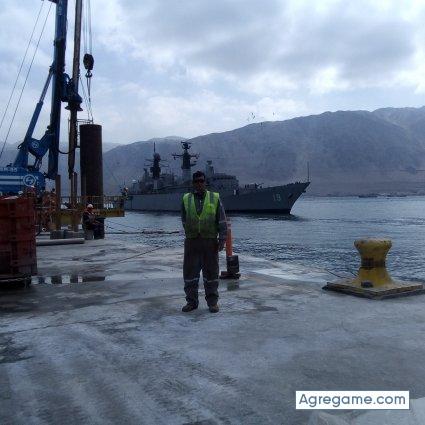 Grilloazul chico soltero en Alto Hospicio