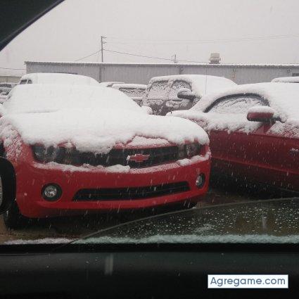 miguelalcantara5782 chico soltero en Fort Wayne