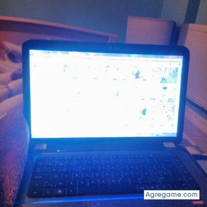 Brintausis chico soltero en 