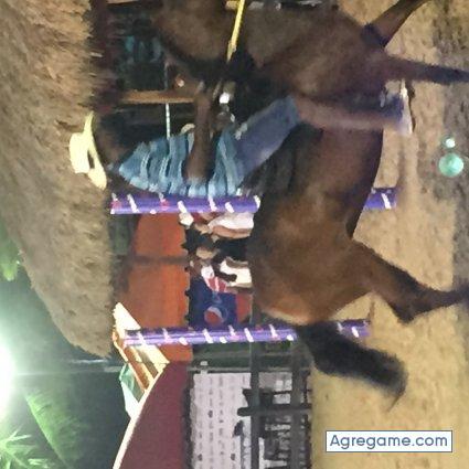 janiiiii chico soltero en 