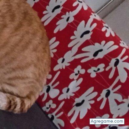 27alex chico soltero en Sevilla