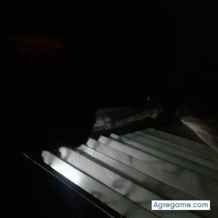 Maximop chico soltero en La Pintada