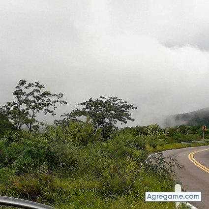 Kirzo chico casado en Hermosillo