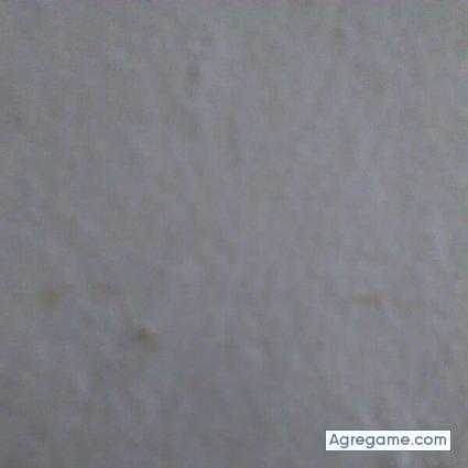 tulio50 chico soltero en Neiva