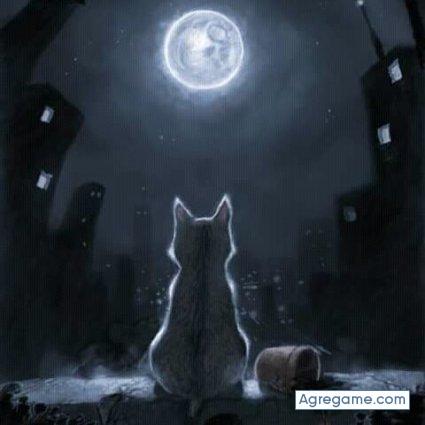 aldofabian1702 chico soltero en Papantla