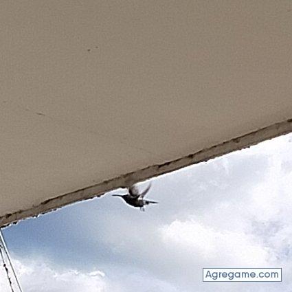 MarcAlb23 chico divorciado en Paicol