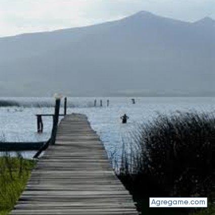 renatosilva3828 chico soltero en 