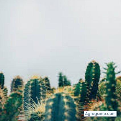 jamesrojo19 chico soltero en Medellín