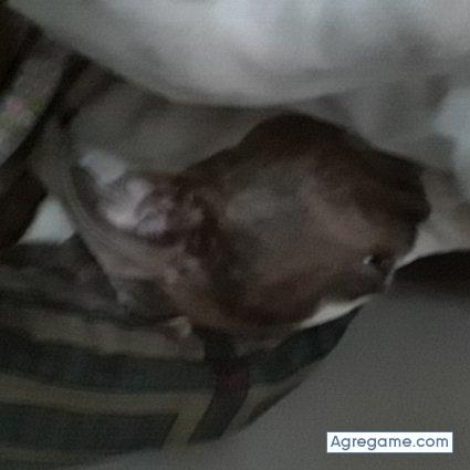 Babyboyy chico soltero en Norcross