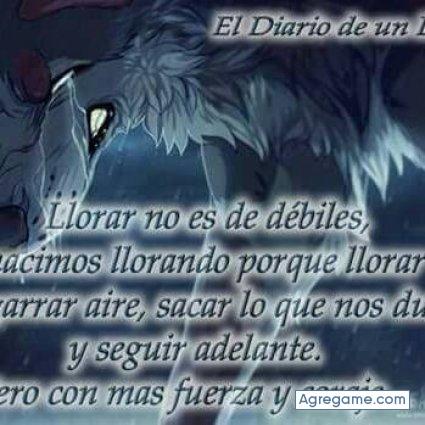 angelgabriel9115 chico soltero en Miami