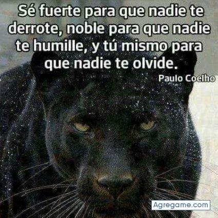 38ummmmm38 chico soltero en Talanga