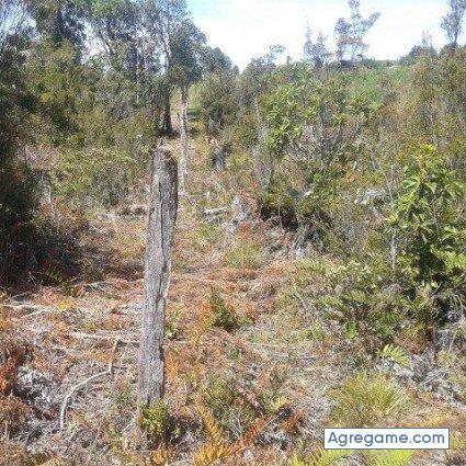 franciscojavier6285 chico soltero en San Javier