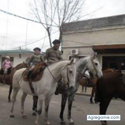 javiergallareto chico soltero en Cardona
