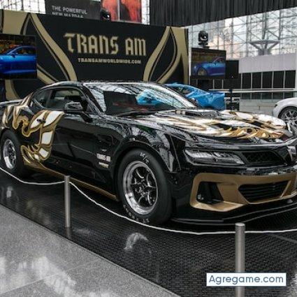 21486 chico soltero en Mesquite