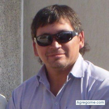 sagitauro chico separado en Chillán