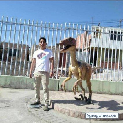 Mamani93 chico soltero en Pocollay