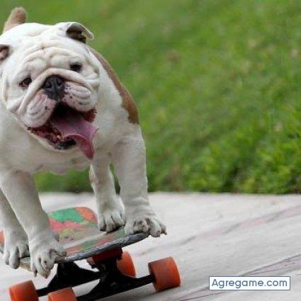 Ronaldo_93 chico soltero en Matarani