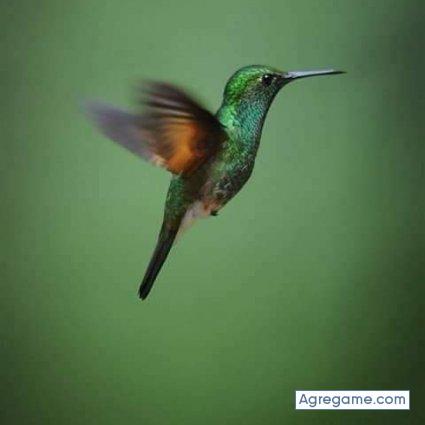 Vicent71 chico soltero en Cazones De Herrera