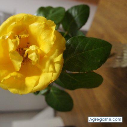 quirogapaz chico soltero en Lorca