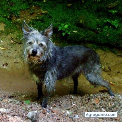 josemiralles chico soltero en Montgat