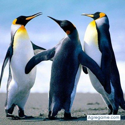 danielortiz9839 chico casado en Bayunca